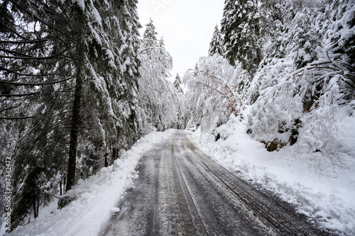 paesaggio invernale in Val Canali, nel parco naturale di Paneveggio - Trentino