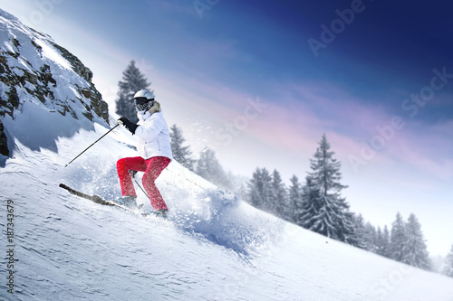 winter skier 