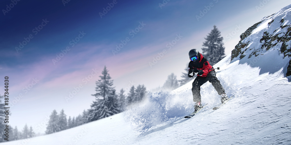 winter skier 