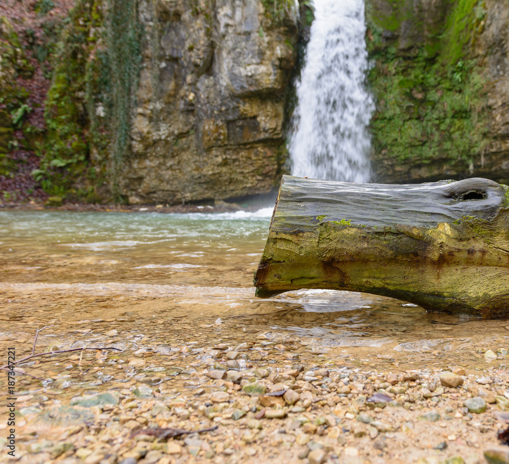 Fototapeta premium Wasserfall hinter Baumstamm