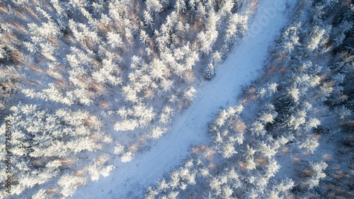 Foto top view of snowy winter forest and road