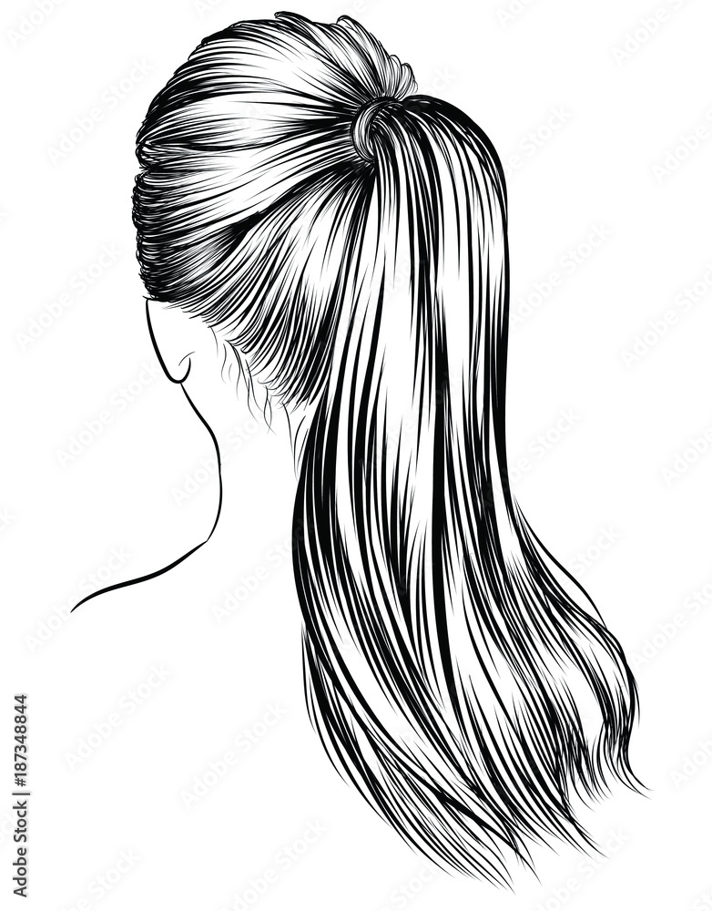 Как нарисовать высокий хвост