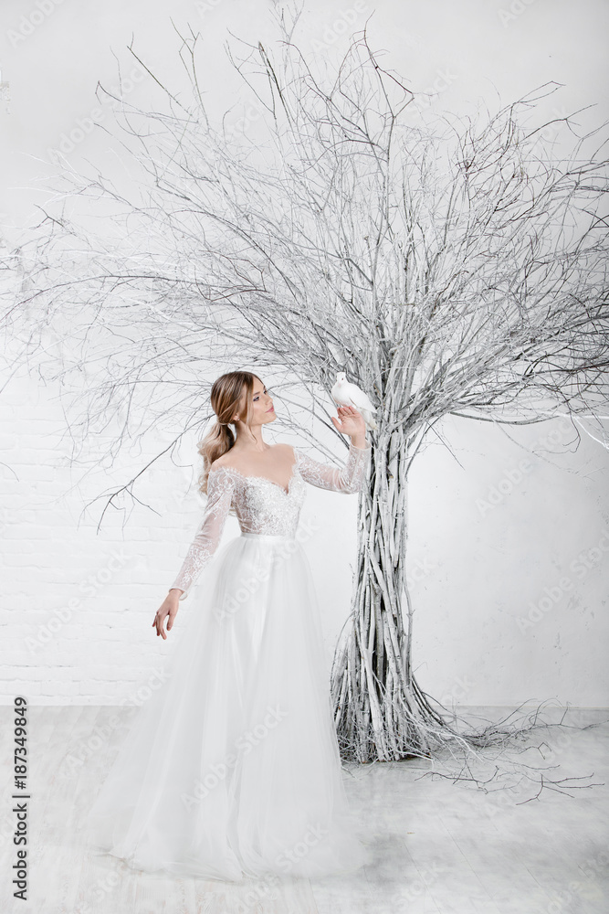 White Dove Wedding Dress