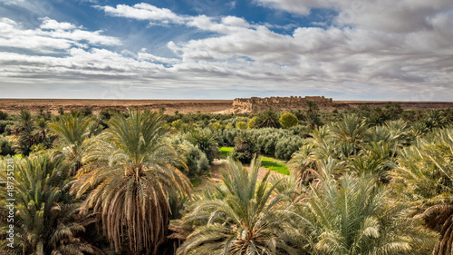 Oase Meski Marokko