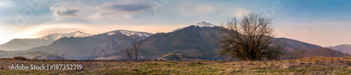 Fototapeta Naklejka Na Ścianę i Meble -  panorama of the Borzhava mountain ridge with snowy tops. wonderful springtime landscape of Ukrainian Carpathians