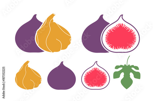 Fig logo. Isolated fig on white background