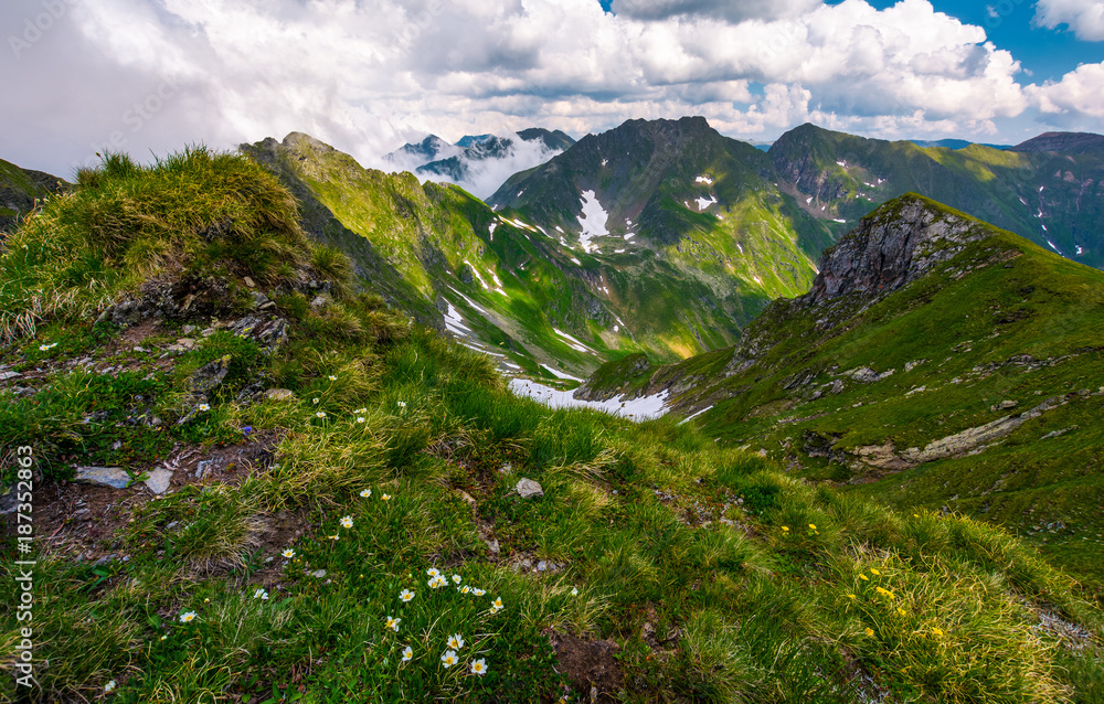 gorgeous summer landscape in mountains. grassy slope with flowers and rocky cliffs with some snow. beautiful cloudy sky