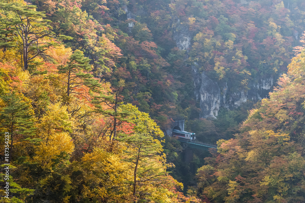 Rikuu line at Naruko gorge in autumn