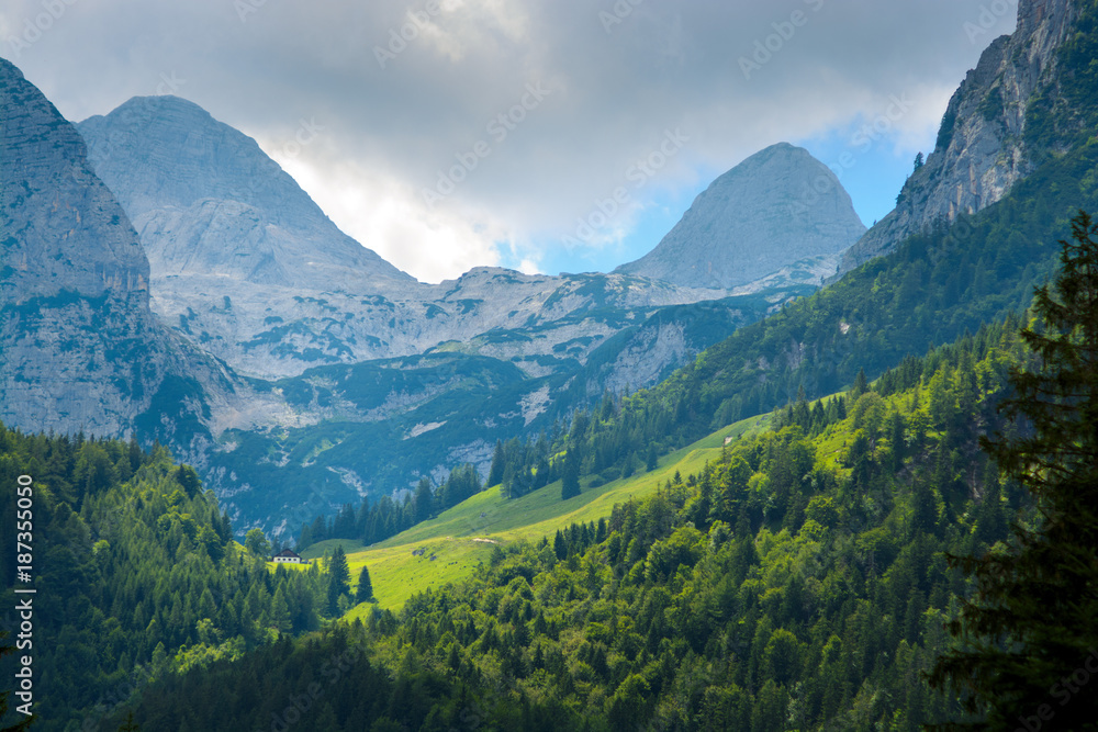 Sunlit mountain slope covered with woods amidst high blue rocky mountain tops