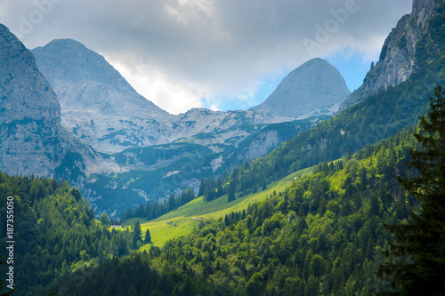Sunlit mountain slope covered with woods amidst high blue rocky mountain tops