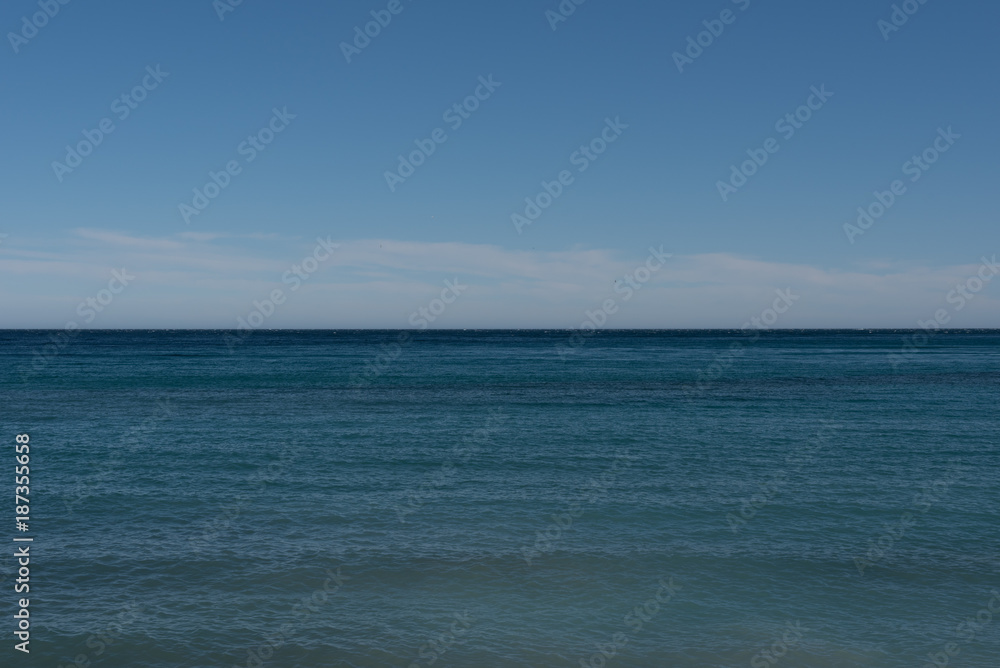 Ocean with sharp blue sky and seagulls