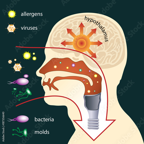 Scheme of penetration of parasites into the human body through respiratory system. The mucous membrane acts as the first line of defense. Medical illustration