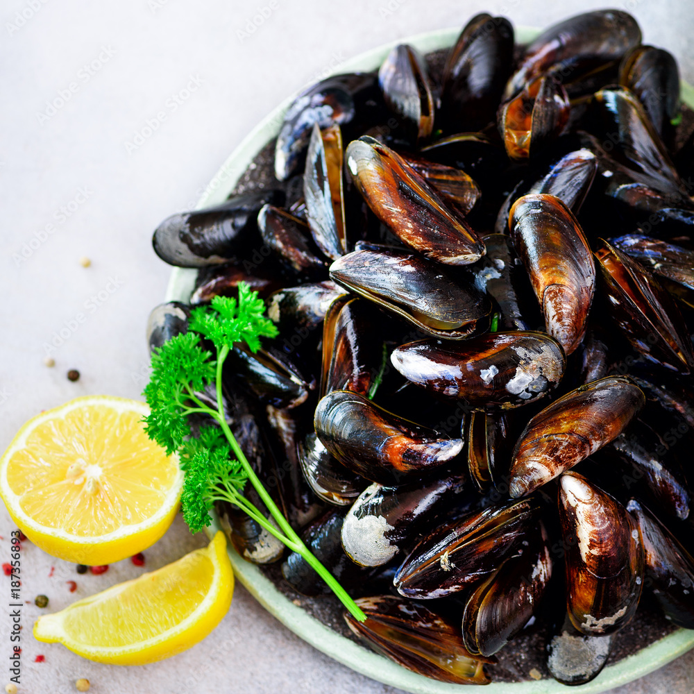 Boiled mussels with seaweed, sea plants on white stone concrete background. Top view, copy space. Square crop Boiled mussels with seaweed, sea plants on white stone concrete background. Top view, copy space. Square crop