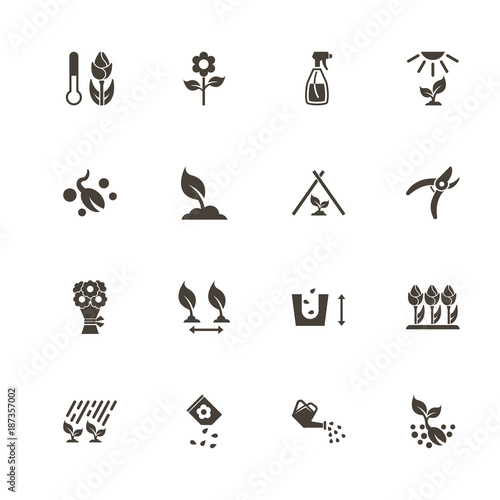 Flowers Growing icons. Perfect black pictogram on white background. Flat simple vector icon.