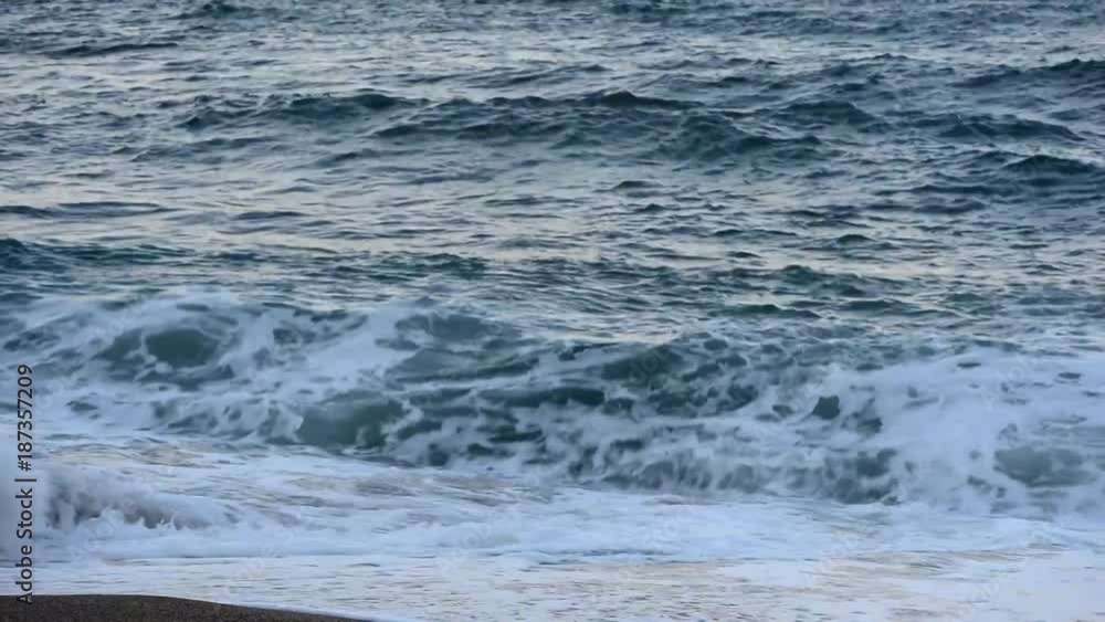 Waves of the sea in a swell along the coast
Waves of the sea in a swell along the coast