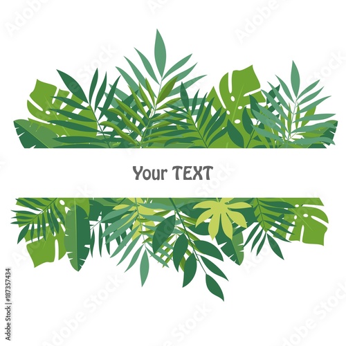 Banner with tropical leaves. The design for the background template, advertising materials, labels, packaging. Vector illustration.