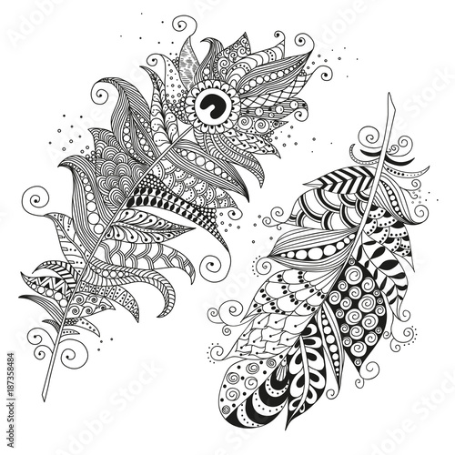 Hand drawn zentangle feather on white background photo