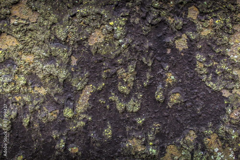 Texture of old resin and metal. Texture of old resin and metal.