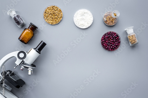 Food safety. Wheat, rice and red beans near microscope on grey background top view copyspace