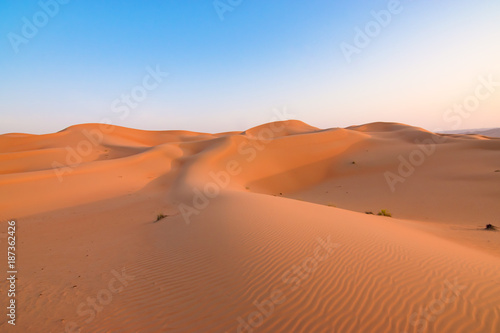 Desert sand dunes landscape.