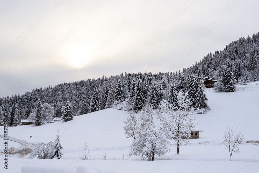 paesaggio invernale in Val Canali, nel parco naturale di Paneveggio - Trentino