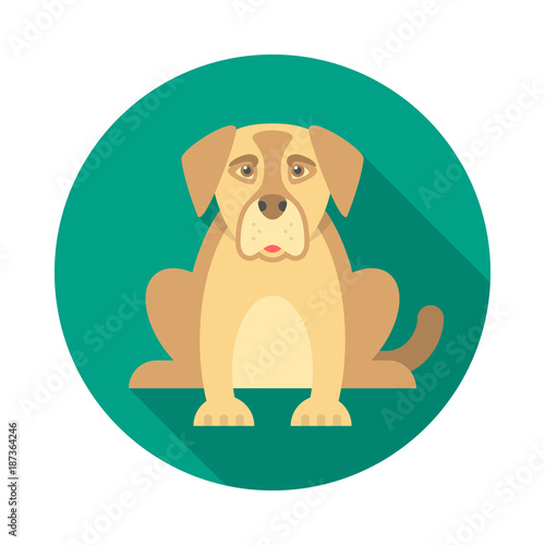 Siberian husky dog flat design long shadow vector icon in circle
