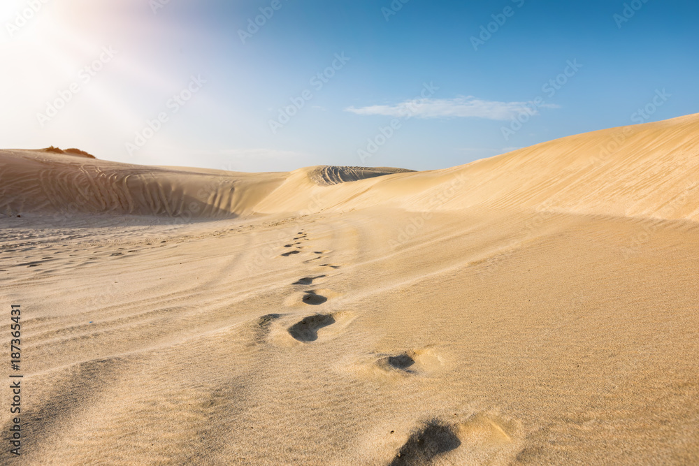 Spuren in der Sandwüste von Katar, nahe der Haupstadt der Doha