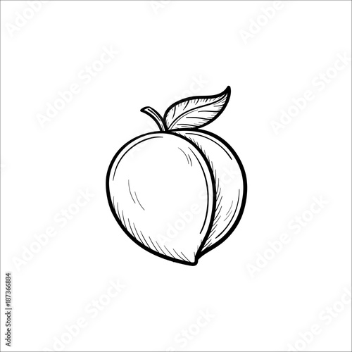 Vector hand drawn Plum outline doodle icon