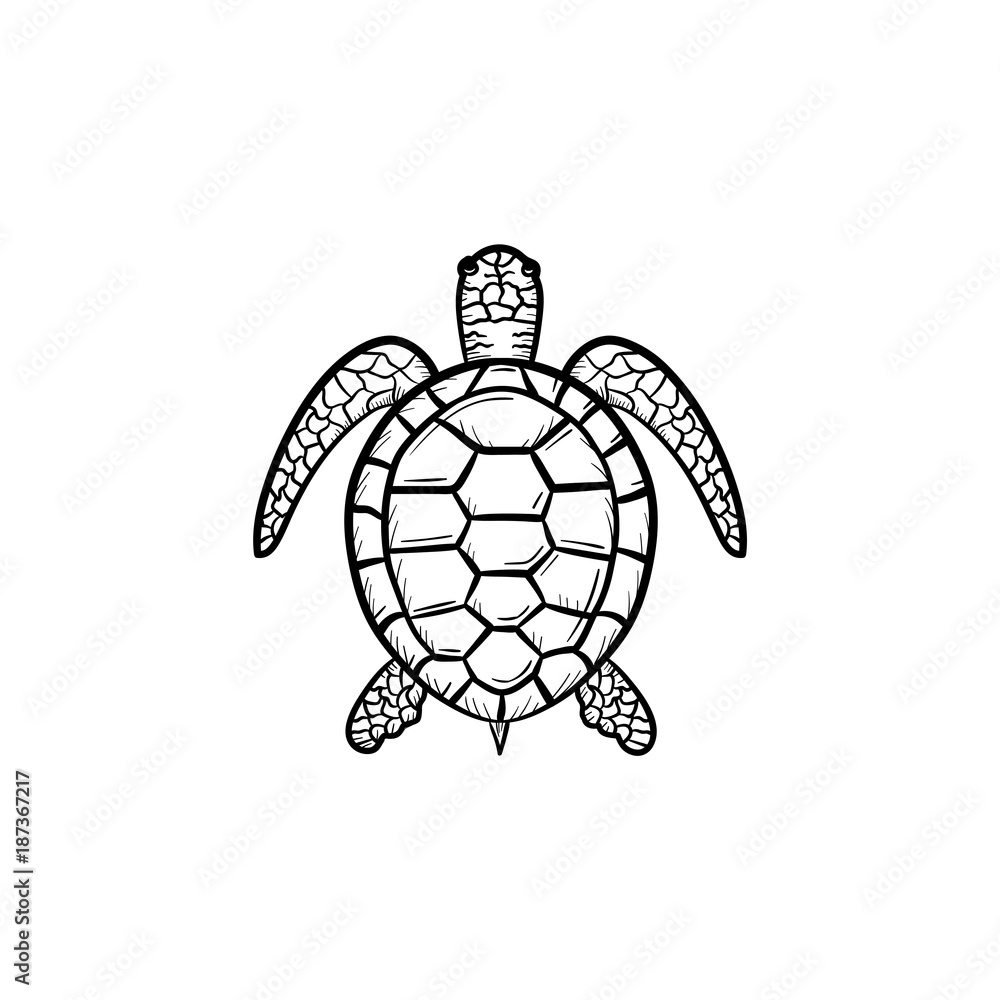 Fototapeta premium Vector hand drawn Turtle outline doodle icon. Turtle sketch illustration for print, web, mobile and infographics isolated on white background.