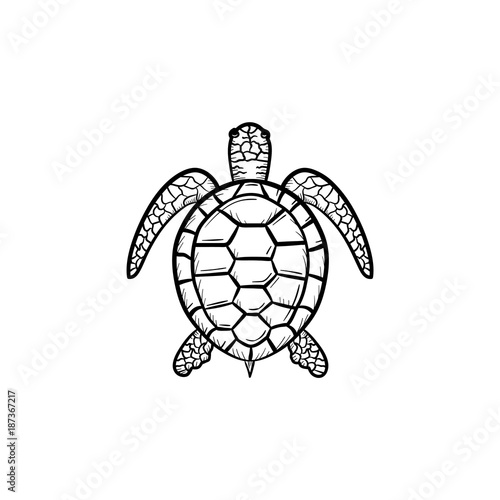 Vector hand drawn Turtle outline doodle icon. Turtle sketch illustration for print, web, mobile and infographics isolated on white background.