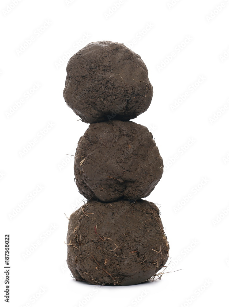 soil balls isolated on white background, with clipping path soil balls isolated on white background, with clipping path