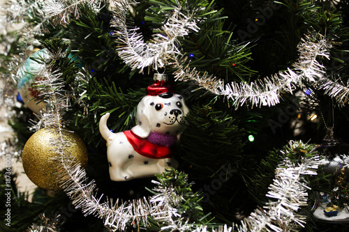 Christmas background and christmass balls. Christmas dog glass. photo