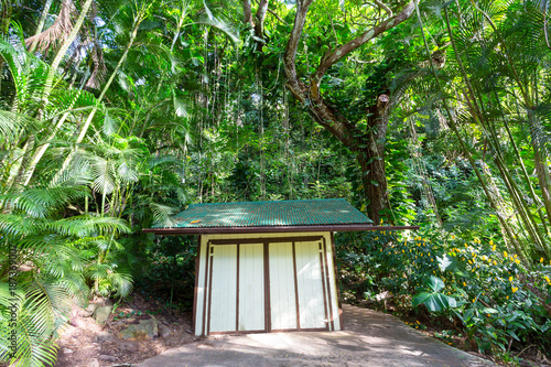 Small wooden shed in a lush tropical park