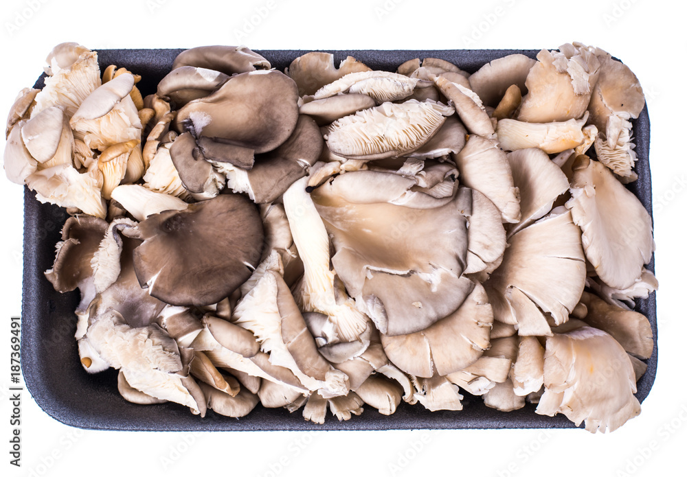 Bunch of fresh oyster mushrooms in black package Bunch of fresh oyster mushrooms in black package