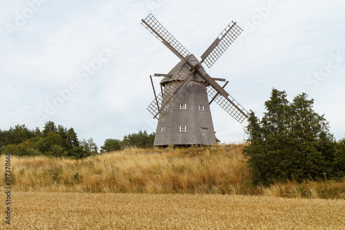 Old windmill in golden field