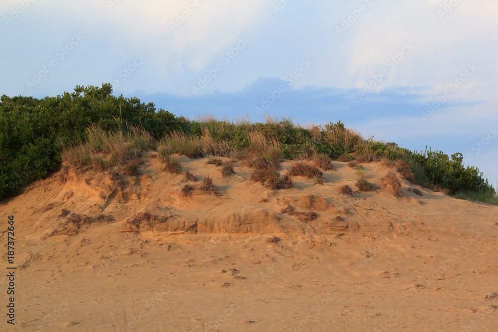 OBX OBX