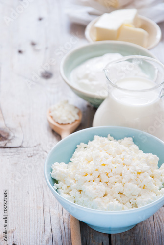 Organic Farming Cottage cheese, sour cream, butter and milk