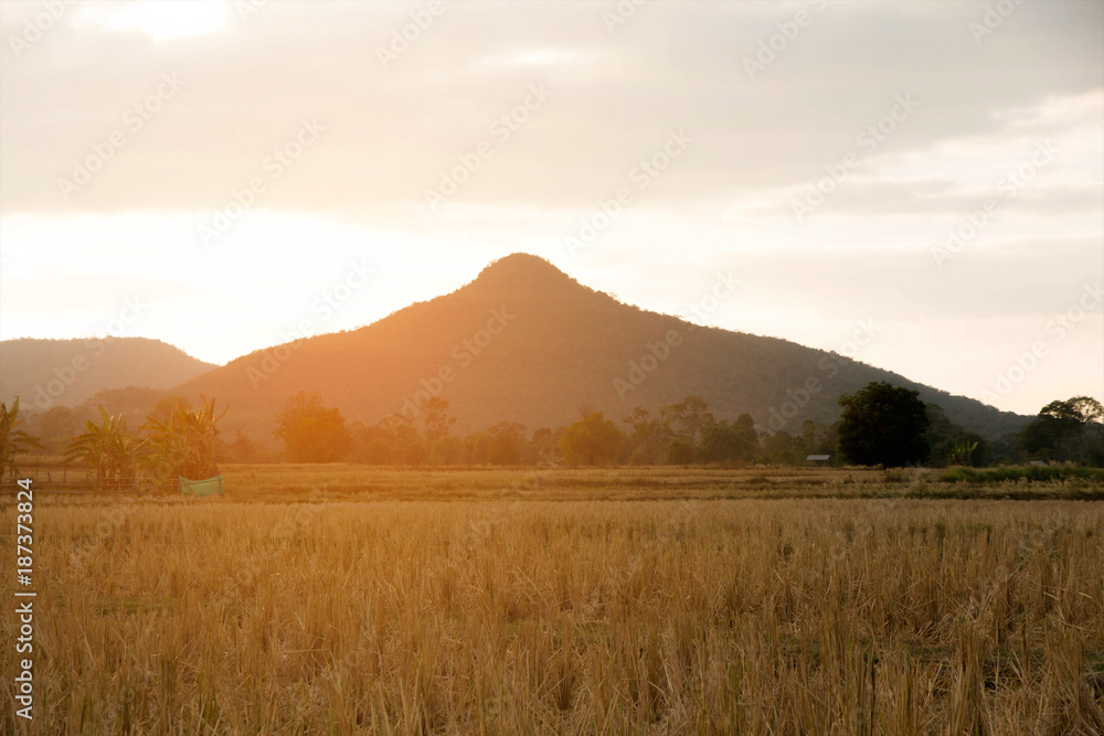 Obraz premium Landscape mountain with sunset beautiful nature 