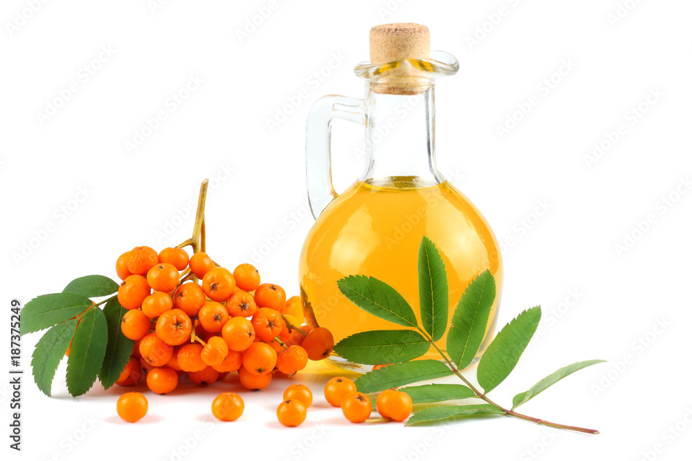 Rowan with green leaf and rowan oil in glass jug isolated on white background Rowan with green leaf and rowan oil in glass jug isolated on white background