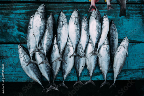 Photography The market for marine fish