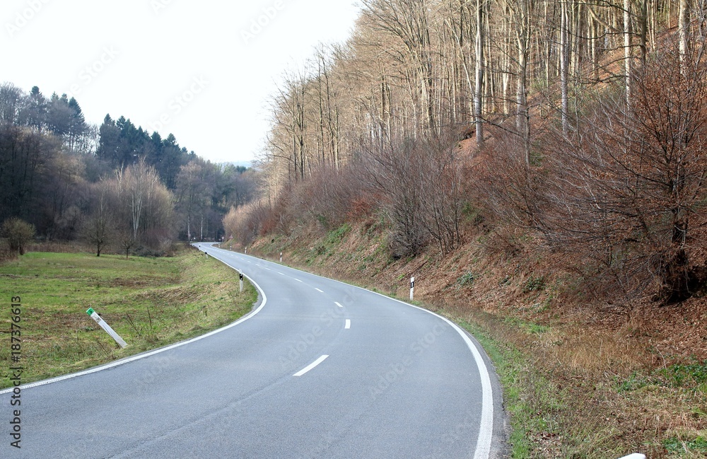 Fototapeta premium Straße durch die Landschaft