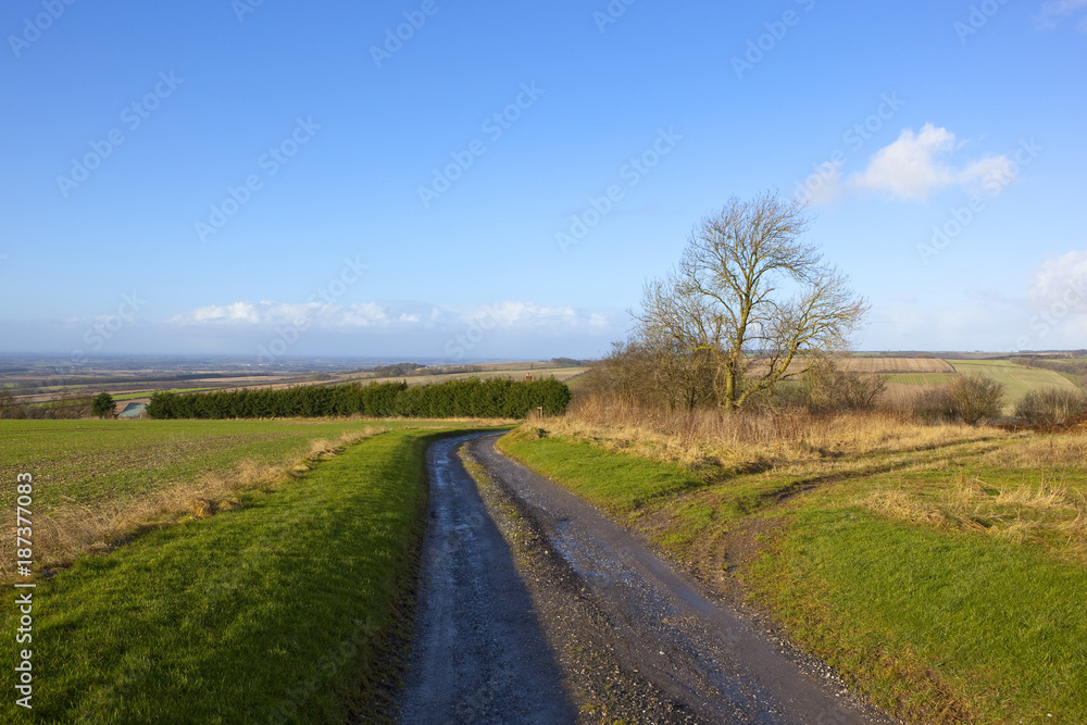 scenic farm track