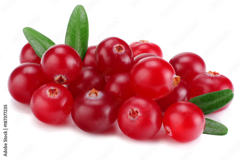 Cranberry with leaves isolated on white. With clipping path. Full depth of field. Cranberry with leaves isolated on white. With clipping path. Full depth of field.