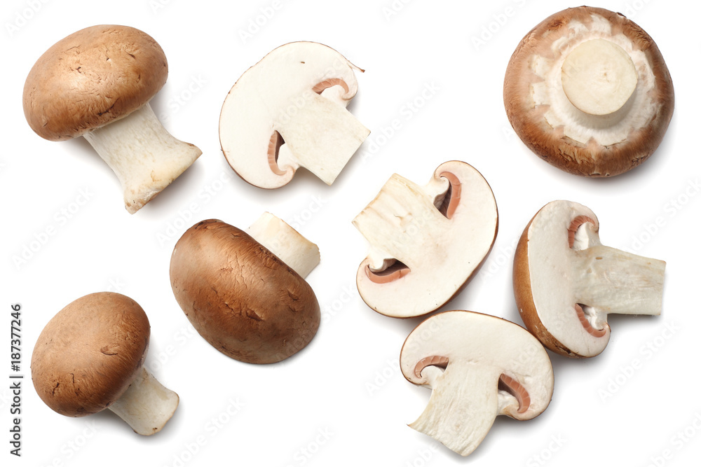 Fresh champignon mushrooms isolated on white background. top view Fresh champignon mushrooms isolated on white background. top view
