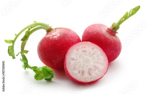 Fresh small radish