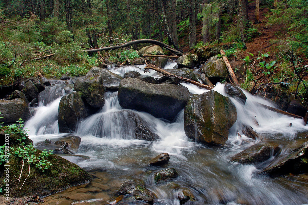 Beautiful view of mountain river in summer Beautiful view of mountain river in summer