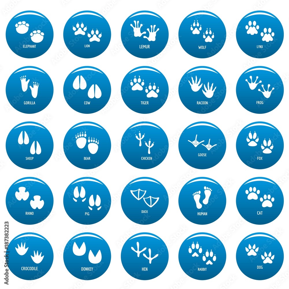 Animal footprint icons set blue. Simple illustration of 25 animal footprint vector icons for web Animal footprint icons set blue. Simple illustration of 25 animal footprint vector icons for web