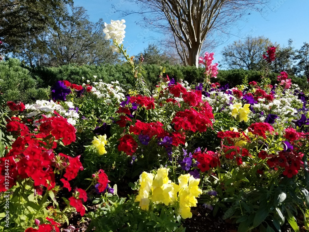 Flowers of Life Flowers of Life