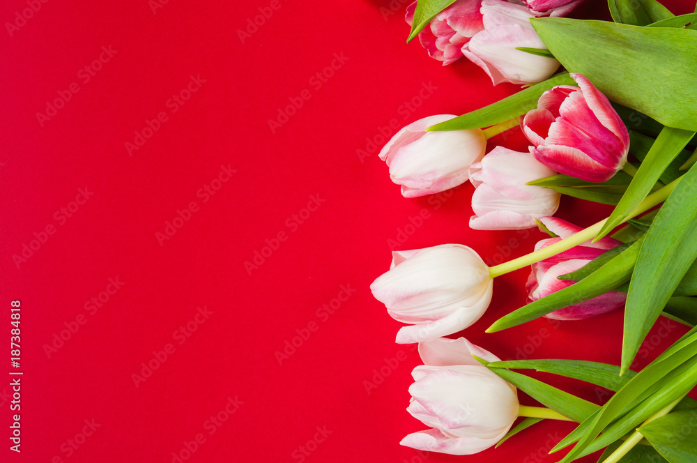 custom made wallpaper toronto digital Vale tulips on a red background
