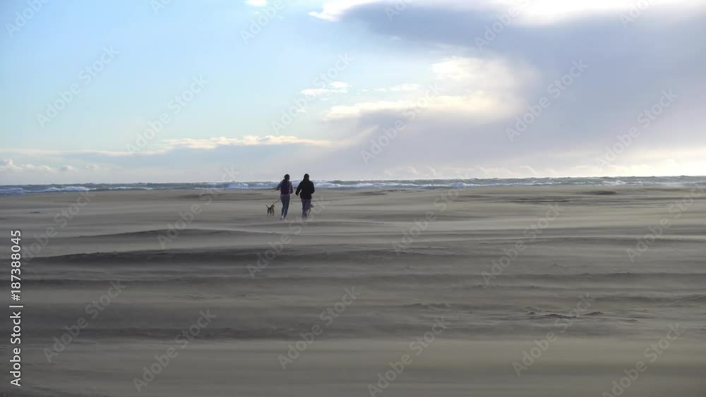 deux personnes et deux chiens courent sur une plage en plein vent deux personnes et deux chiens courent sur une plage en plein vent